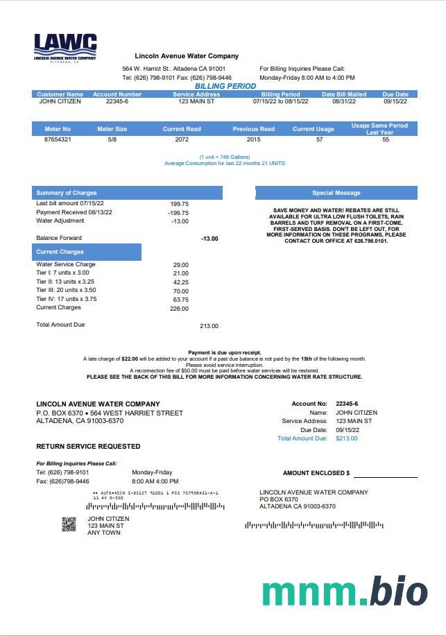 Usa California Lincoln Avenue Water Firma rachunek za media szablon w formacie Word i PDF